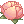 Charming Lotus